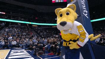 Denver nuggets mascot passed out